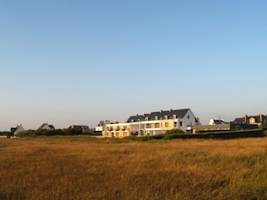 Hotel acceptant les chiens