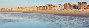 Hotel acceptant les chiens
