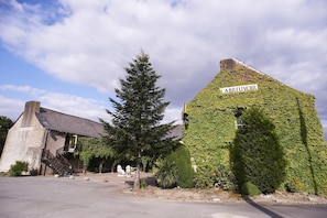 Hotel acceptant les chiens