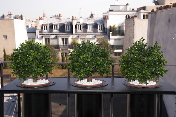 Hotel Tilsitt Etoile accepte les chiens à Paris