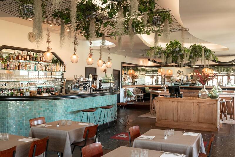 La Belle Saison Bordeaux Bastide accepte les chiens à Bordeaux