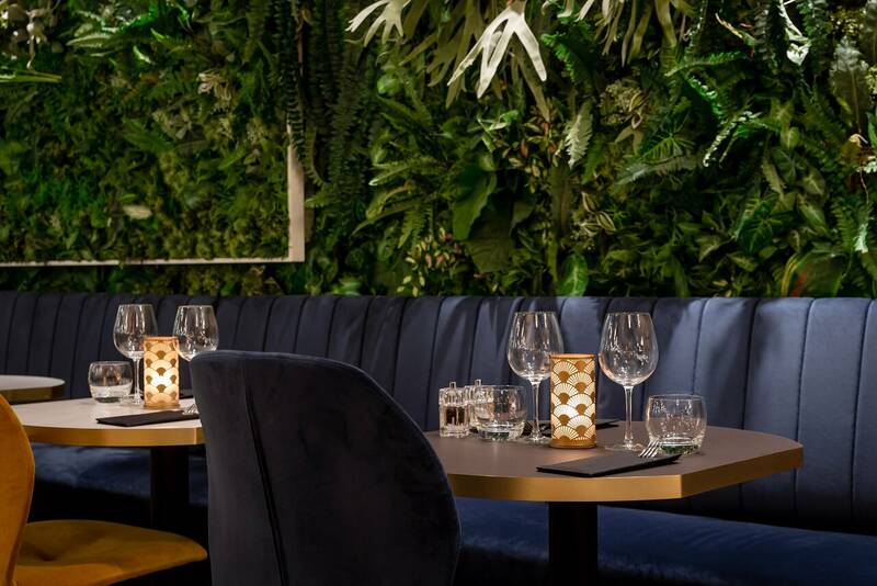 The Garden's Lounge accepte les chiens à Strasbourg