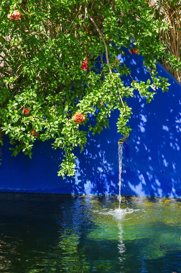 La Villa Majorelle accepte les chiens à Pertuis