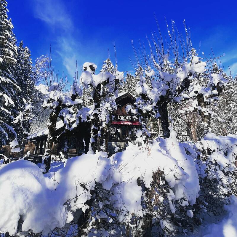 L’Index - Chamonix accepte les chiens à Chamonix