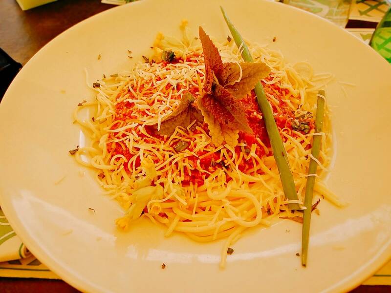 Restaurant La Doulce Terrasse Villandry accepte les chiens à Villandry