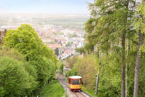 Hotel acceptant les chiens