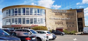 Hotel acceptant les chiens