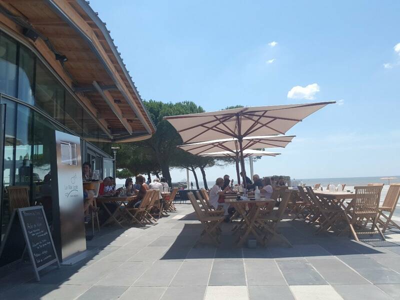 Le Bar Iodé accepte les chiens à Saint-Nazaire