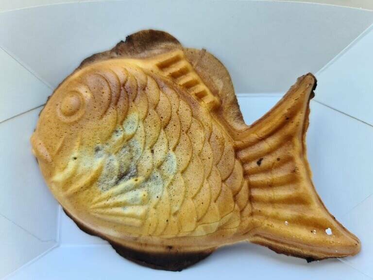 Dooky accepte les chiens à Narbonne