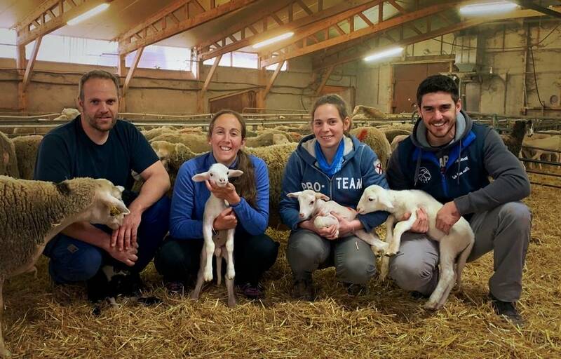 Armand & Marie accepte les chiens à Hures-la-Parade