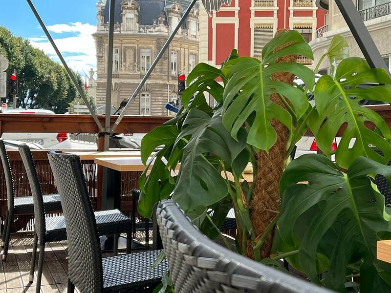 Paradize accepte les chiens à Lyon