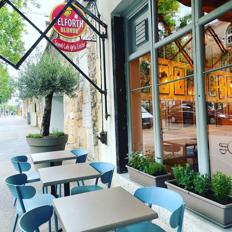 Cafe de la creche accepte les chiens à Lyon