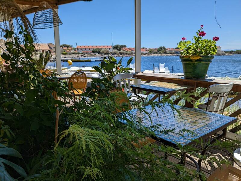 La Paillote accepte les chiens à Port Leucate