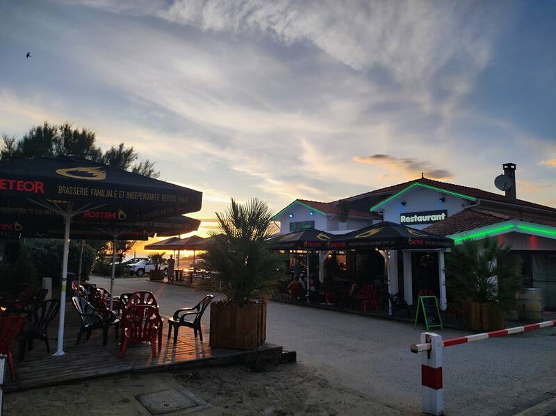 Le Surf accepte les chiens à Hourtin-Plage