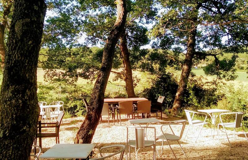 Plein Air - Restaurant Paysan accepte les chiens à Venasque