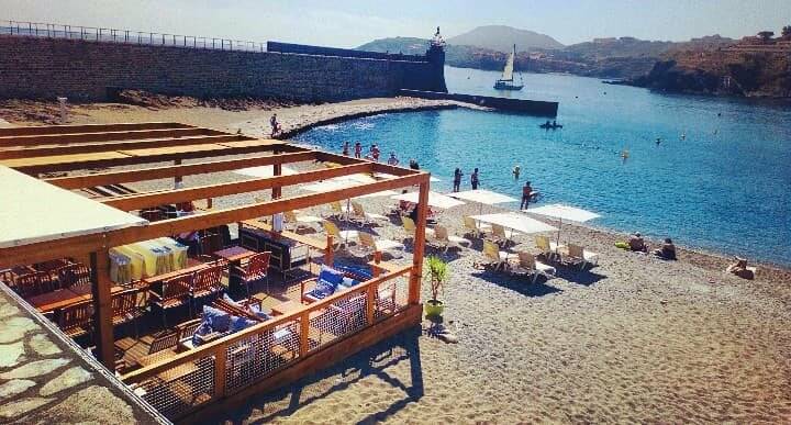 Derrière le Clocher accepte les chiens à Collioure