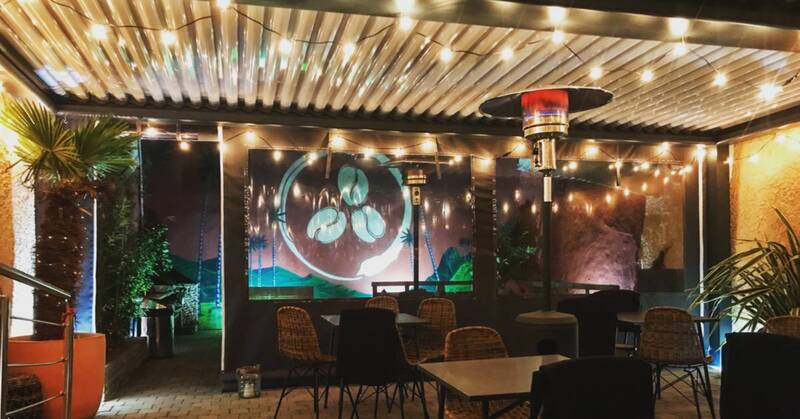 Momento accepte les chiens à Lyon