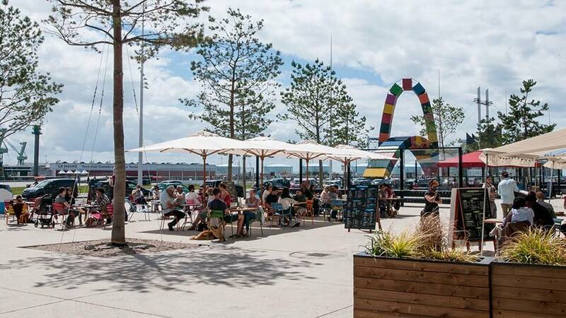 Le Grand Quai accepte les chiens à Le Havre