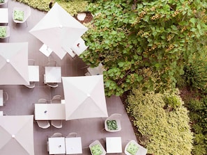 Hotel acceptant les chiens