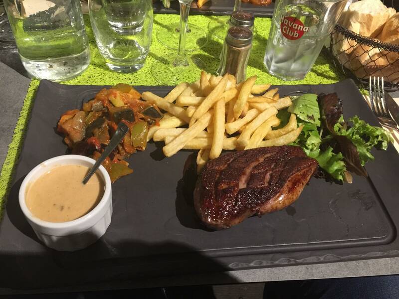 New Thalassa accepte les chiens à Marseille