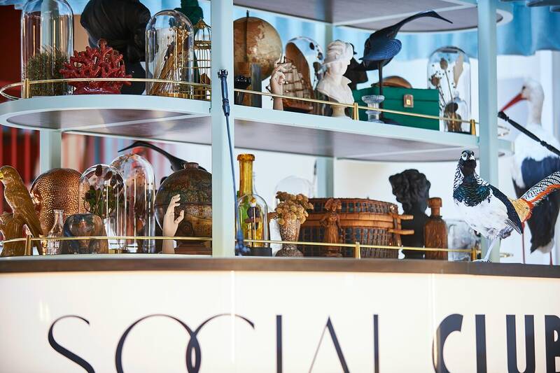 The Drunky Stork Social Club accepte les chiens à Strasbourg