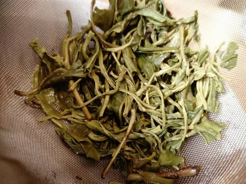 Tea Brao accepte les chiens à Roscoff