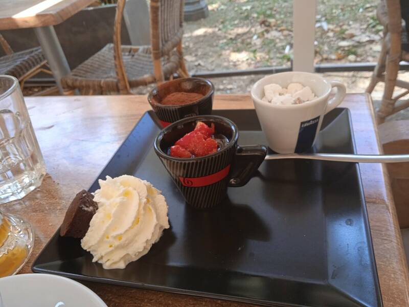 The White Cat accepte les chiens à Montpellier