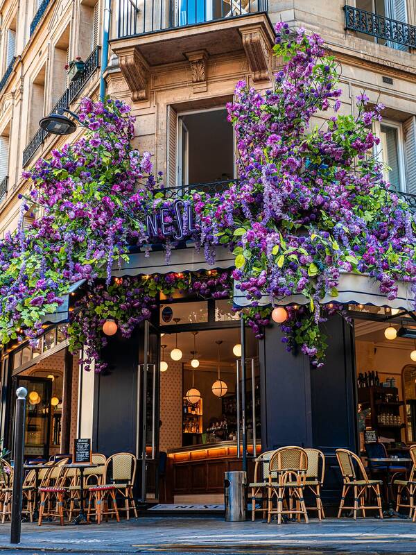 Brasserie Le Nesle accepte les chiens à Paris