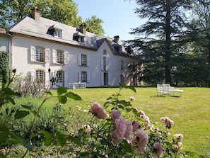 Hotel acceptant les chiens