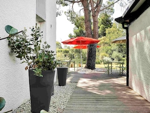 Hotel acceptant les chiens