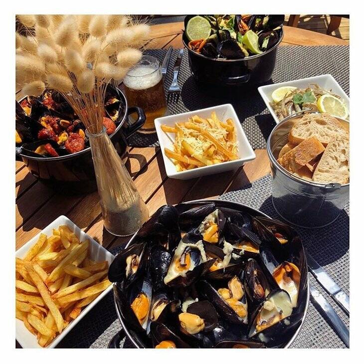 Au Petit Saintemarie Soustons accepte les chiens à Soustons