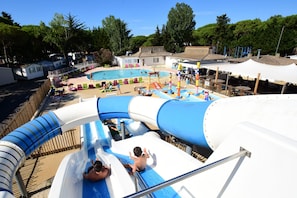 Hotel acceptant les chiens