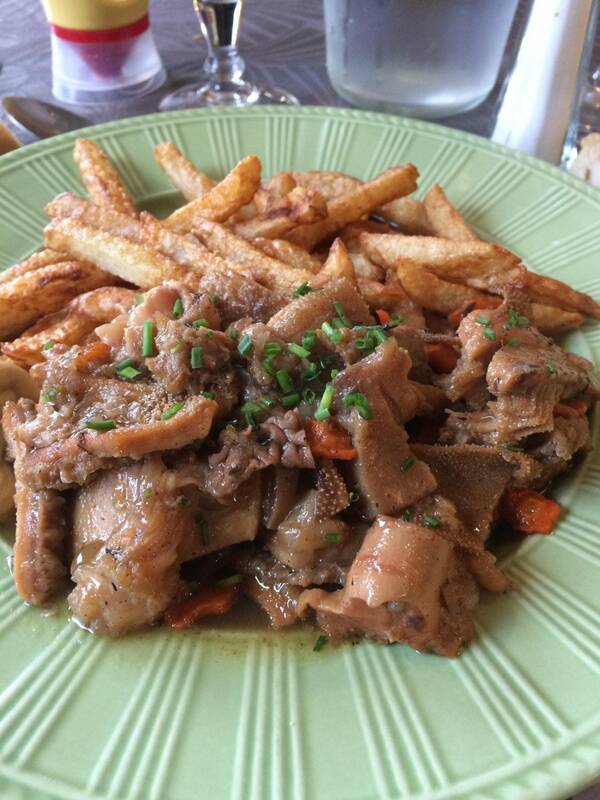 La Palombiere accepte les chiens à Le Havre