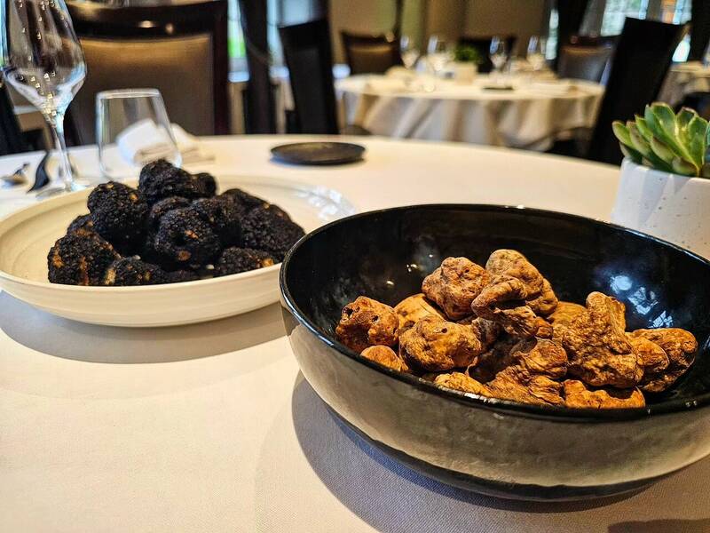 Le Jardin De Bellevue accepte les chiens à Metz