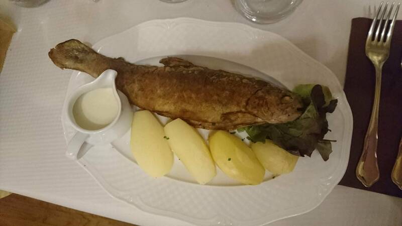 Le Cercle accepte les chiens à Besançon