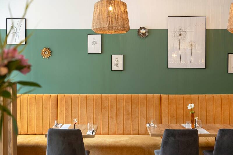 Touósto accepte les chiens à Rodez