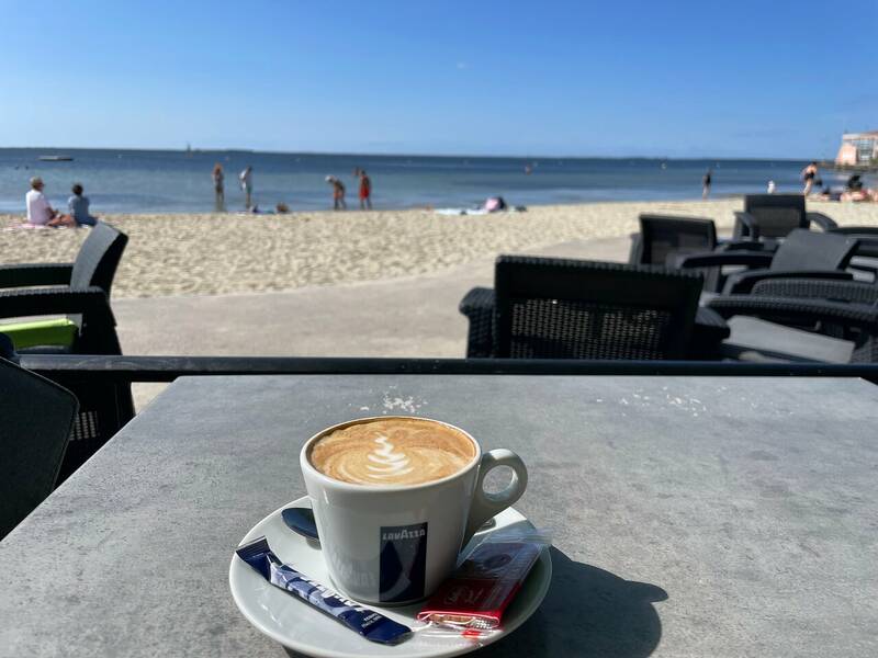 La Plage accepte les chiens à Meze