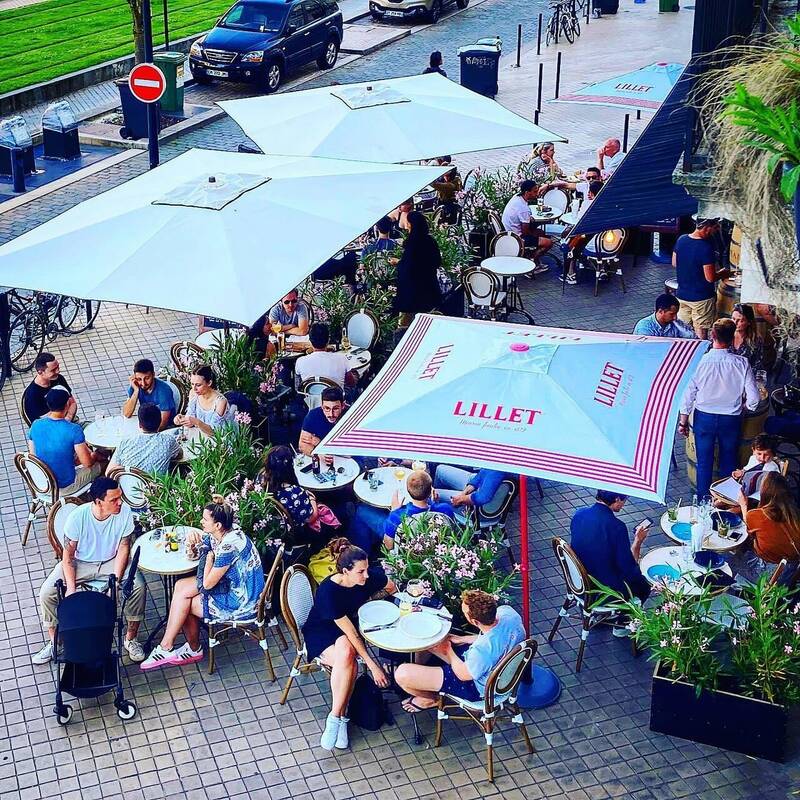 Le Bistrot Du Pavé accepte les chiens à Bordeaux