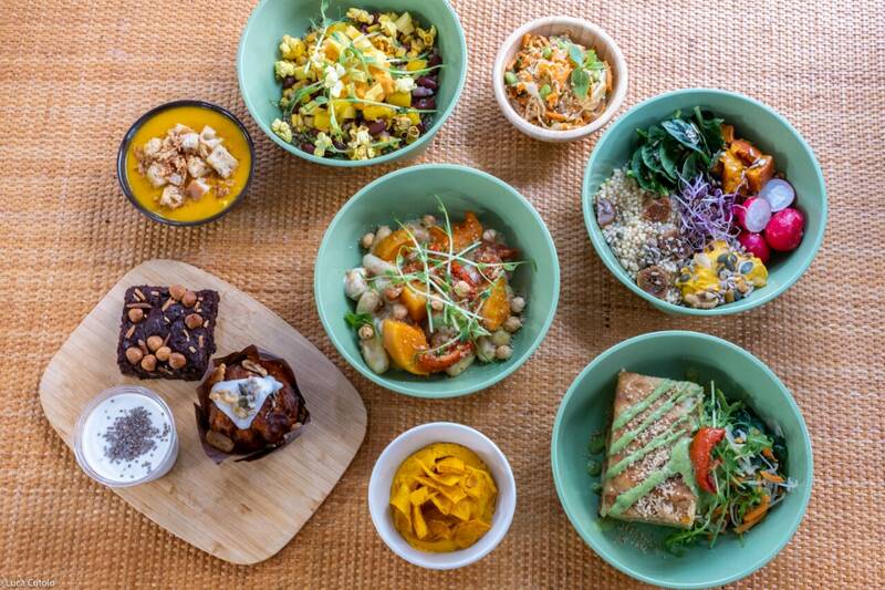 Aloe Vega accepte les chiens à Blagnac