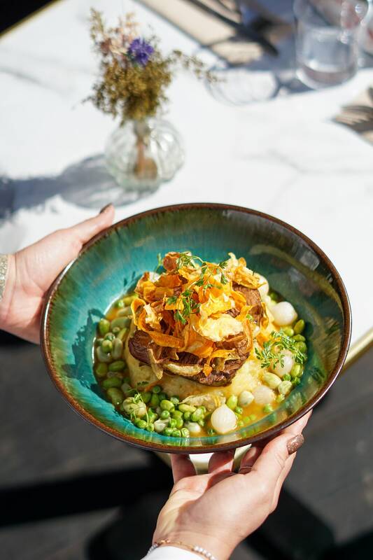 Brasserie La Tortue accepte les chiens à Toulon