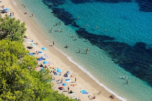 Hotel acceptant les chiens