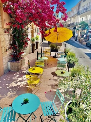 Hotel acceptant les chiens