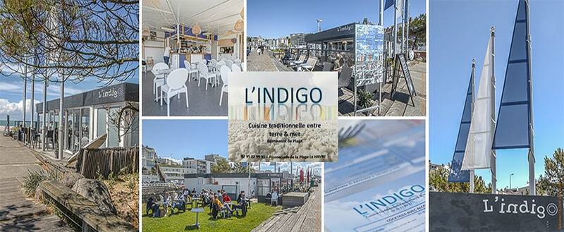 L'Indigo accepte les chiens à Le Havre