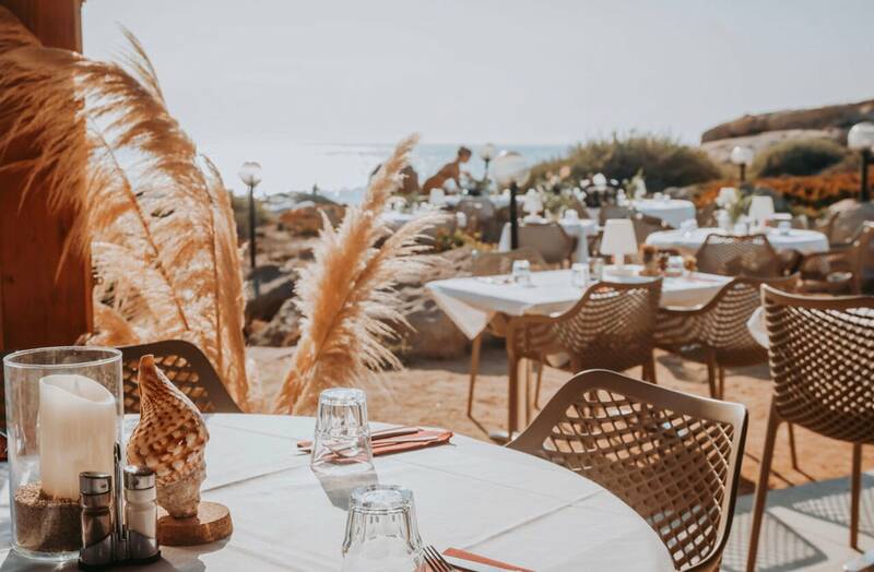 A Rotta accepte les chiens à Corbara