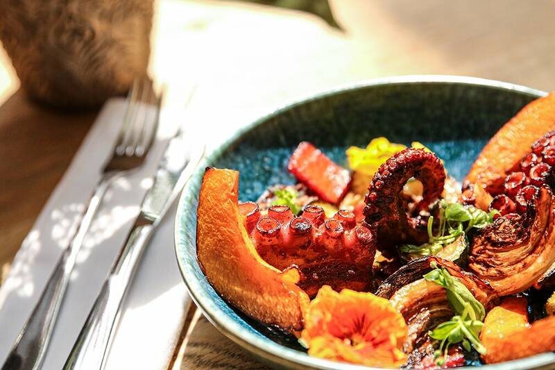 Andia accepte les chiens à Paris