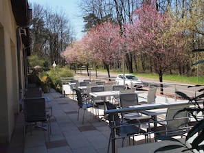 Hotel acceptant les chiens