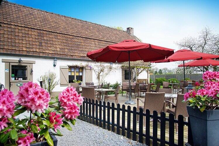 La Ferme des Trois Louches accepte les chiens à Wambrechies