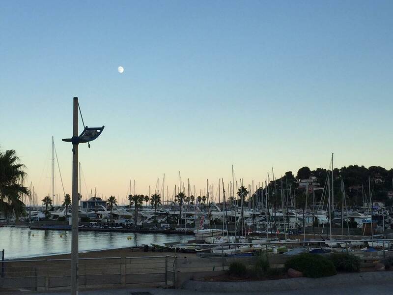 Le Bar Des Alizés accepte les chiens à Cavalaire-Sur-Mer