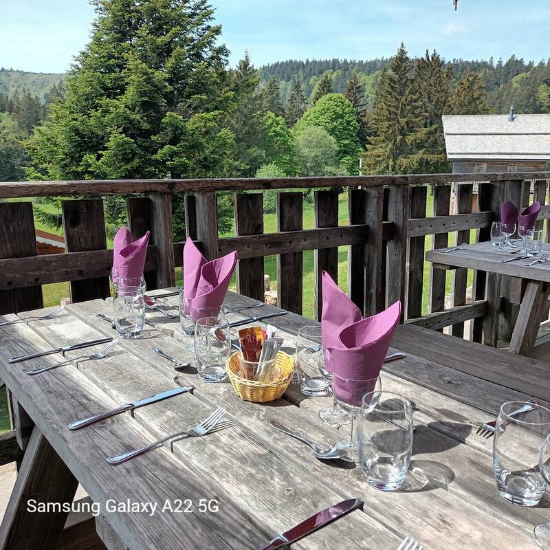 Auberge Du Blancrupt - Gîtes Terre De Sapins accepte les chiens à Orbey