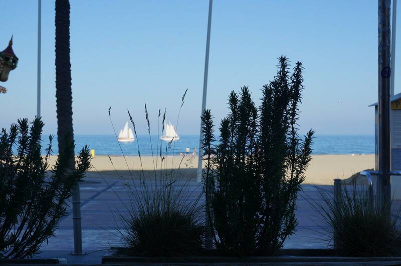 La Plage Gourmande accepte les chiens à Canet en Roussillon